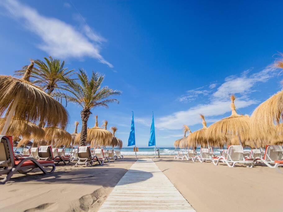 Apartamento Graciosa- Beachside