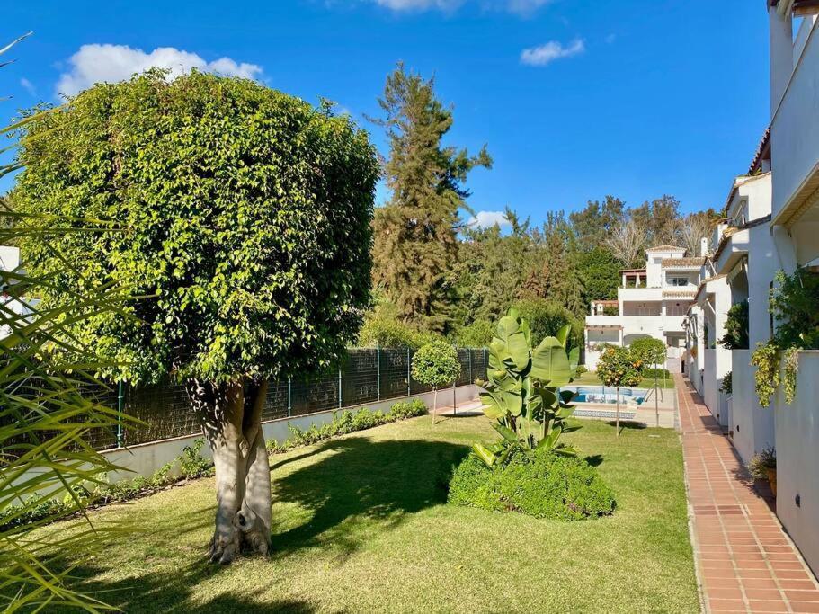 Apartamento Graciosa- Beachside *